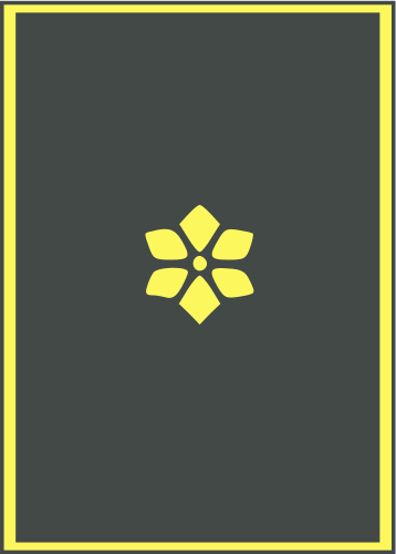 Brigadier general